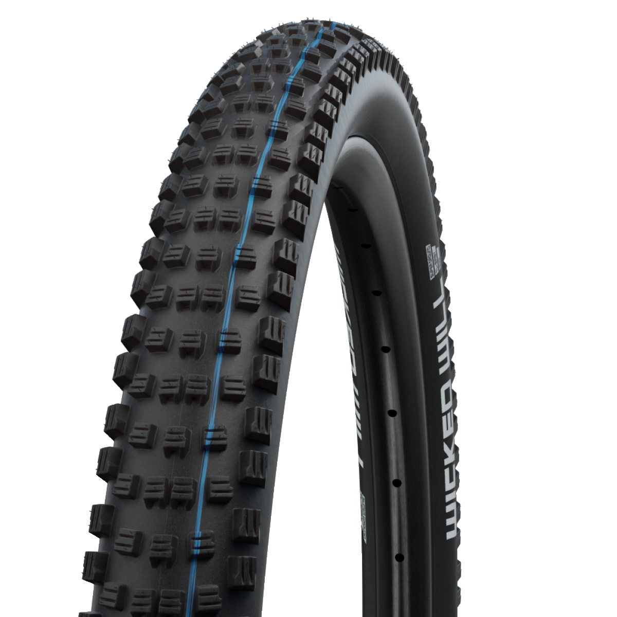 SCHWALBE WICKED WILL 29x2.60 ADDIX SPEEDGRIP SUPERGROUND Tubeless Ready Soft Black tire