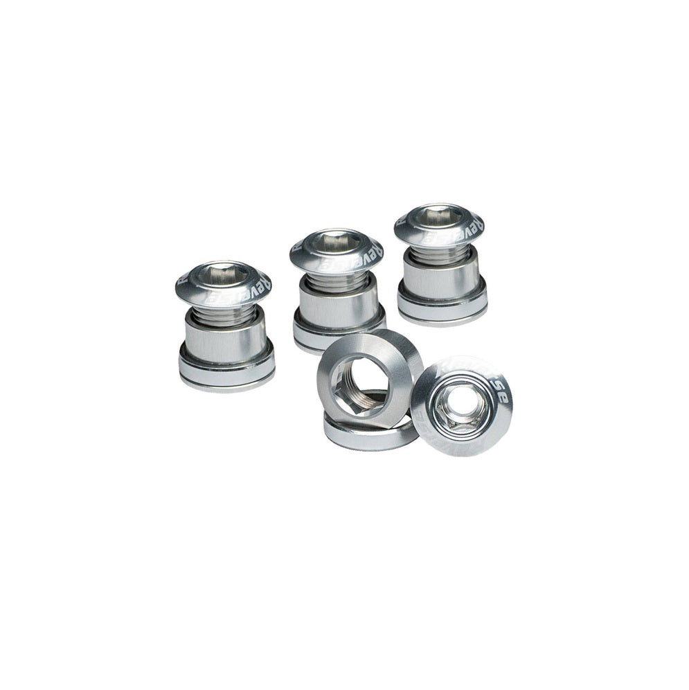 Kit 4 REVERSE COMPONENTS Chimney Screws Silver