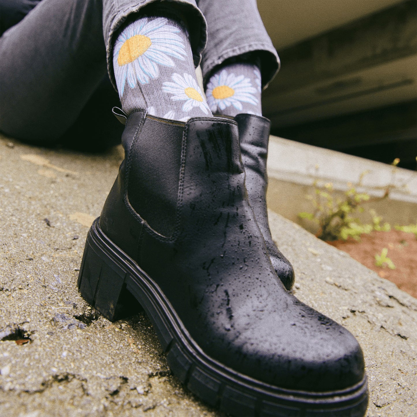 MERGE4 SLOGAN SPRING DAISIES Socks