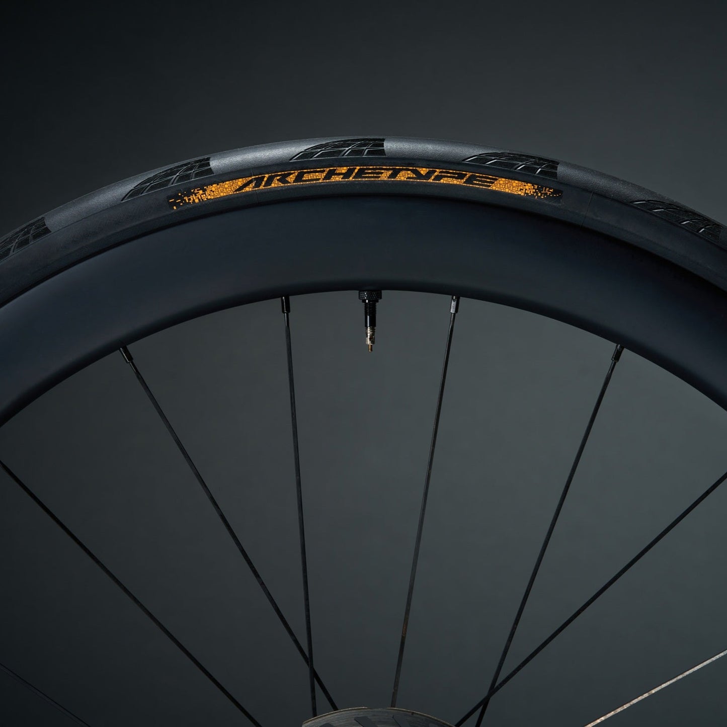 CONTINENTAL ARCHETYPE TDF 2025 700x30c Tubeless Ready Black Tire - Limited Edition