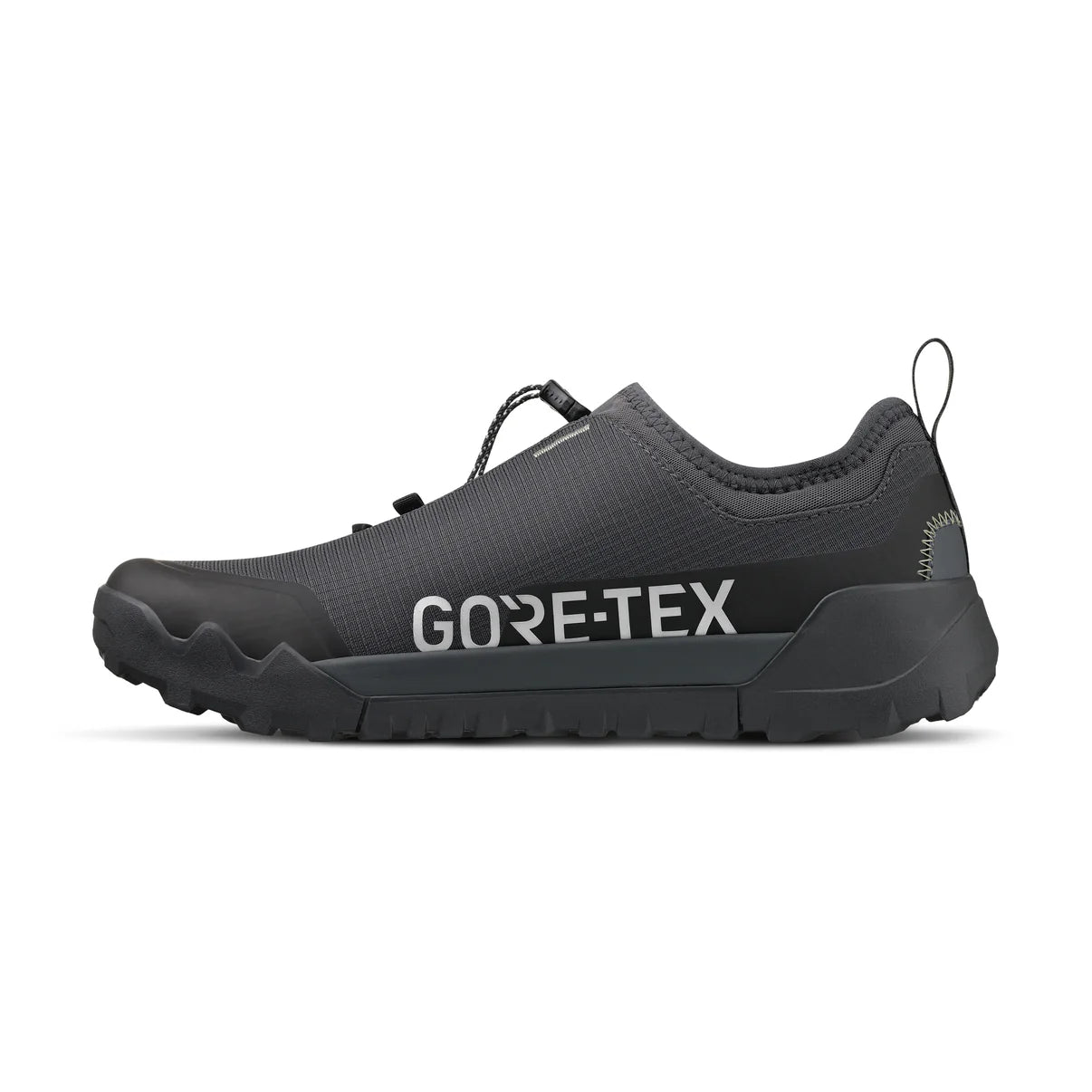 FIZIK ERGOLACE 2 GTX FLAT Mountain Bike Shoe, Black