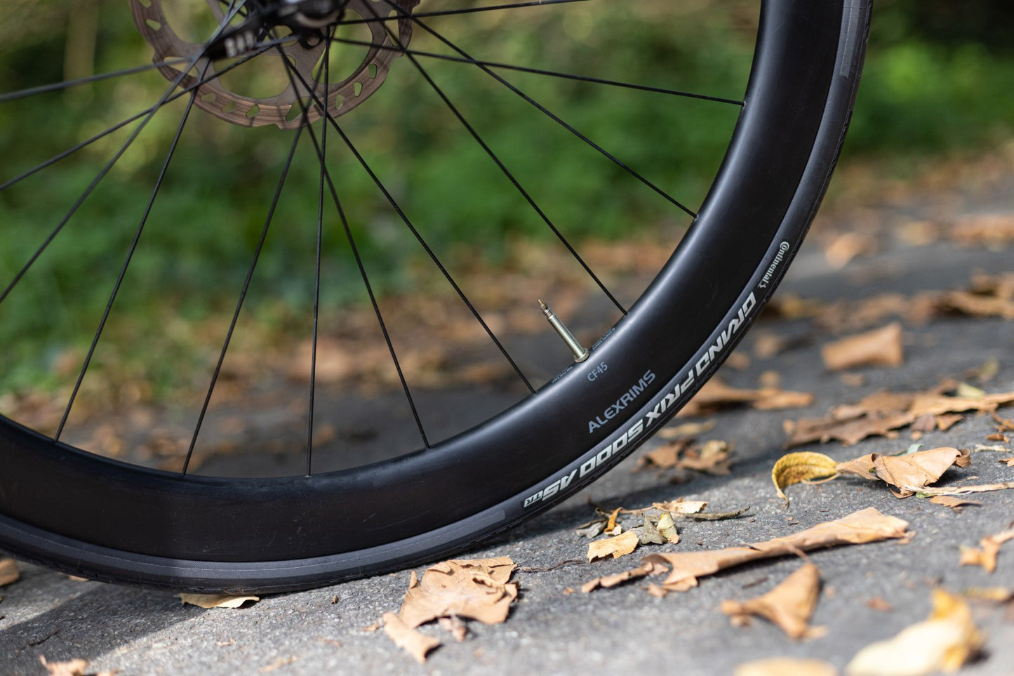 CONTINENTAL GRAND PRIX 5000 ALL SEASON 700c Tubeless Ready Black tire
