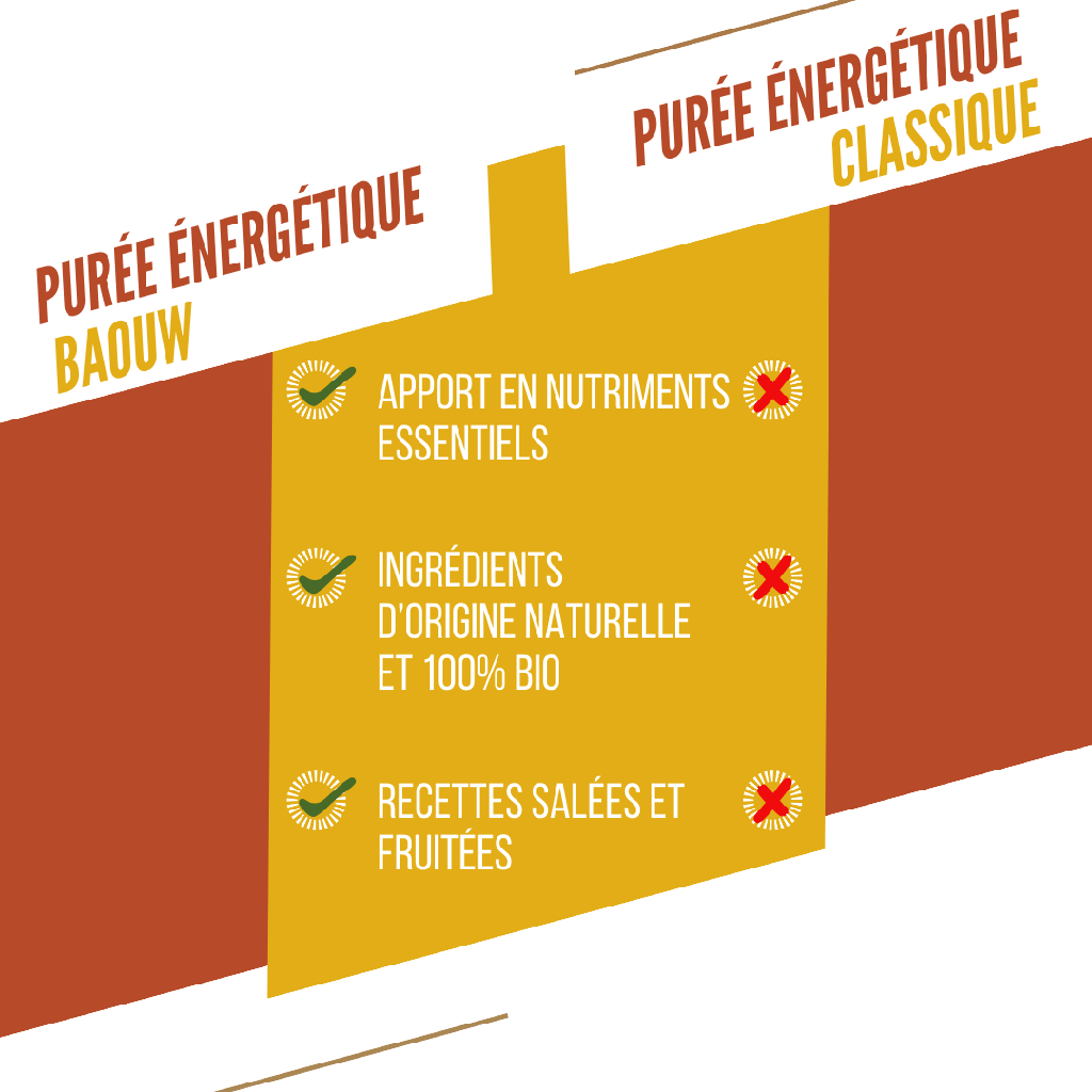 BAOUW Organic Energy Puree Recipe Mango/Passion/Ginger (90g)