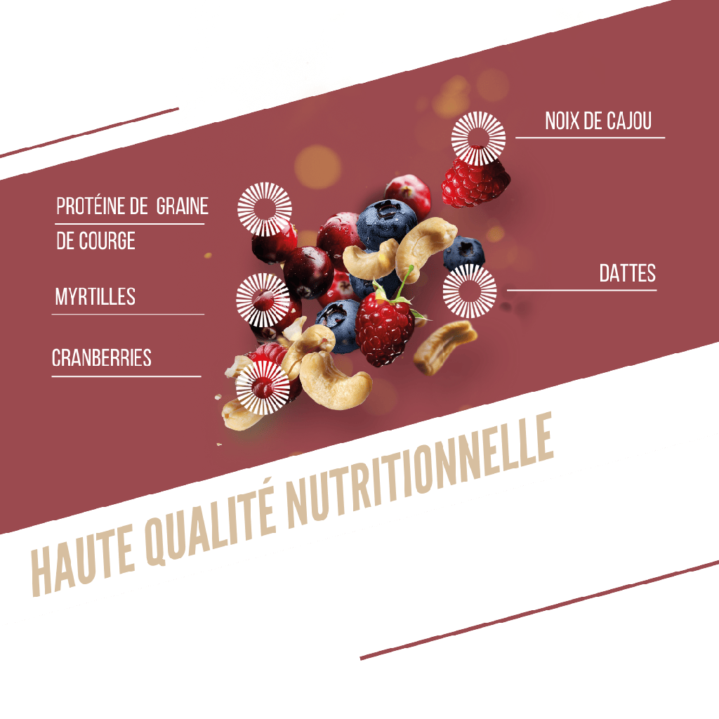 BAOUW ORGANIC EXTRA Red Fruits/Cashew Protein Bar (50g)