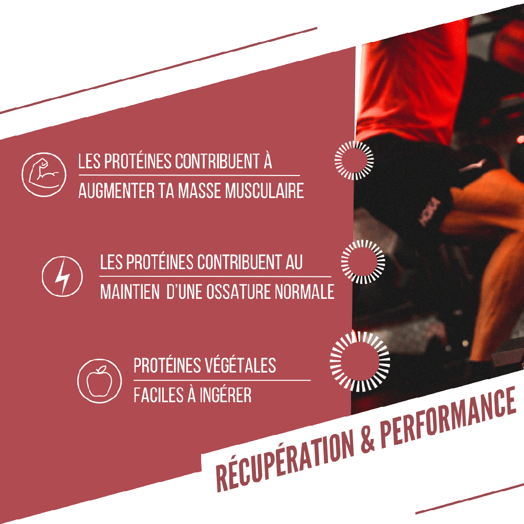 BAOUW ORGANIC EXTRA Red Fruits/Cashew Protein Bar (50g)