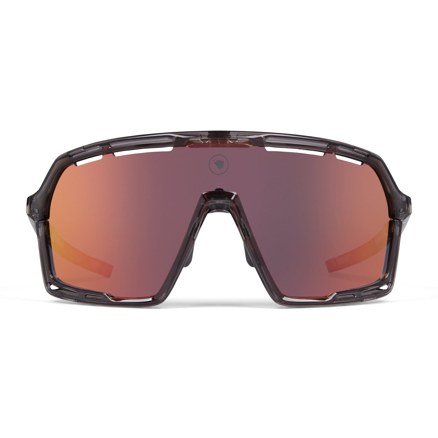 ENDURA PRO SL Goggles Grey 2025