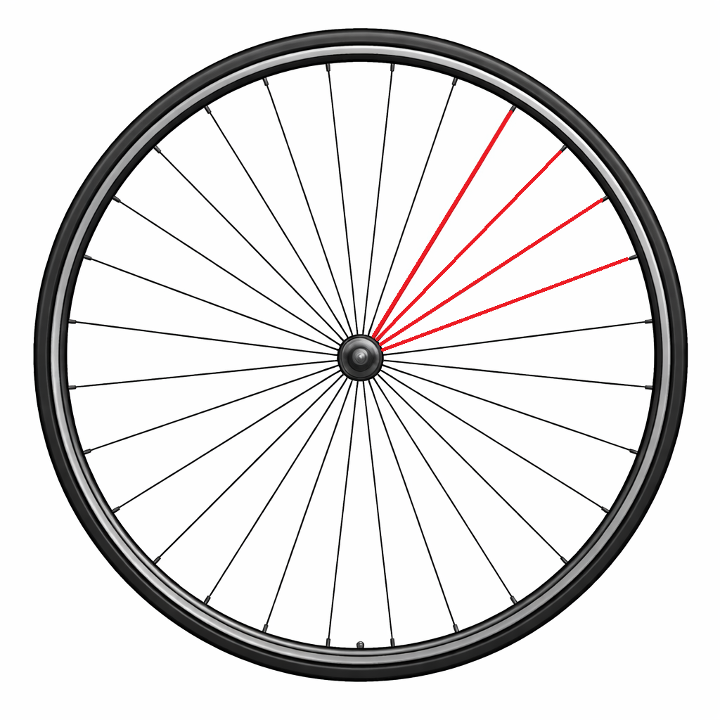 KIT OF 4 COMPLETE CAMPAGNOLO RIGHT REAR SPOKES