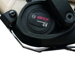 AVS engine protection shoe for Focus