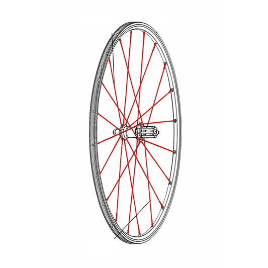 12-SPOKE REAR KIT MAVIC CROSSRONE/CROSSRIDE FTSX 262MM