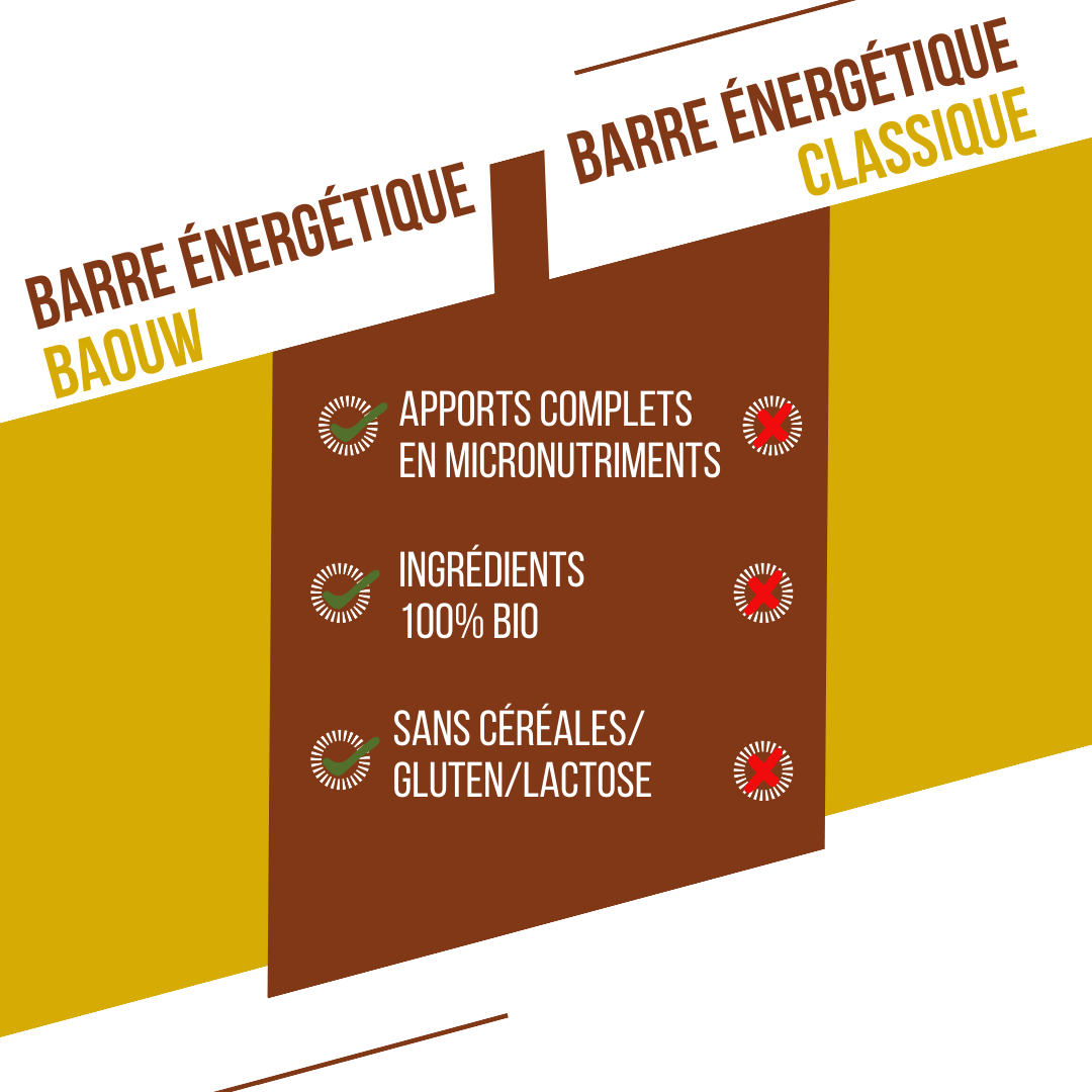 BAOUW ORGANIC EXTRA Banana-Pecan Energy Bar (50g)