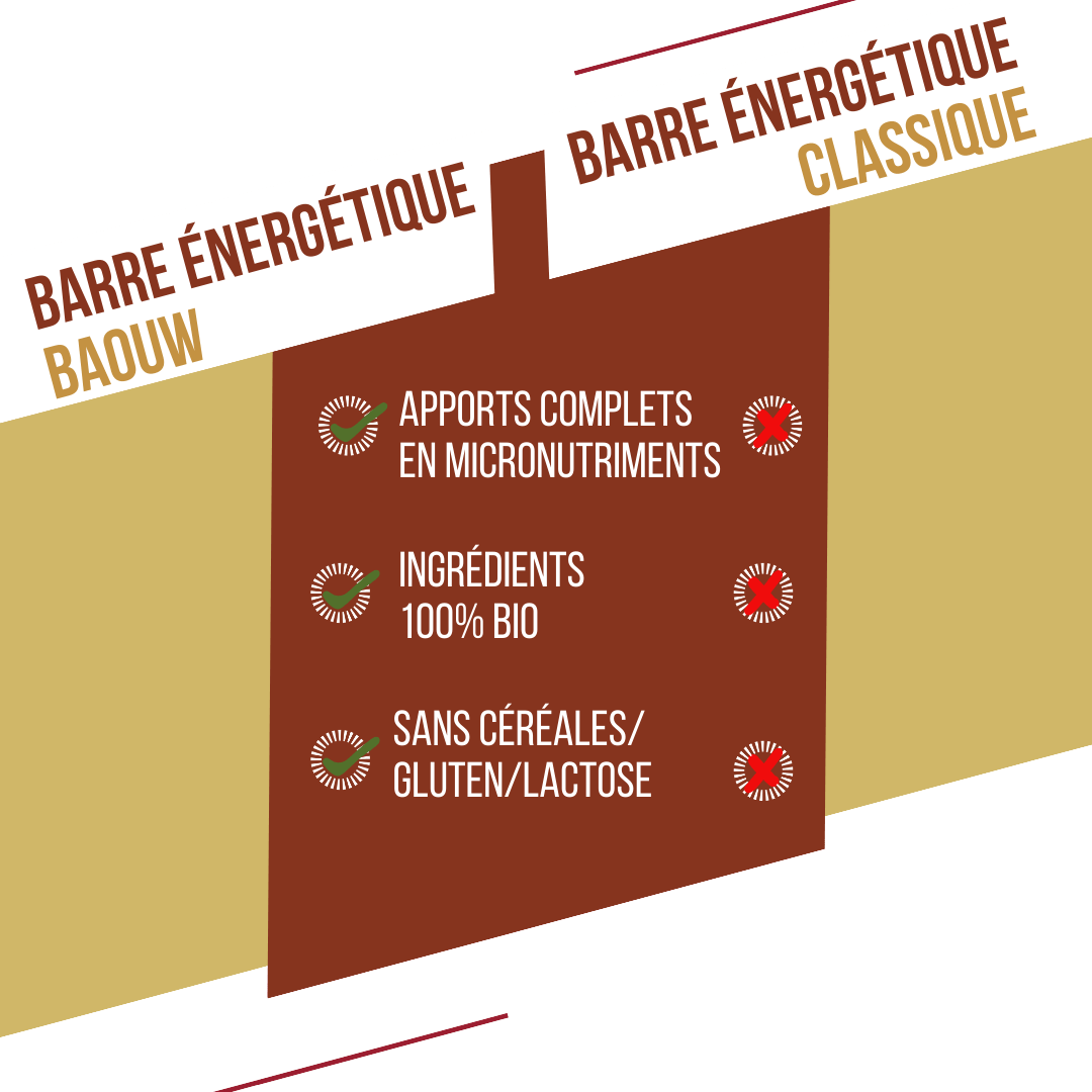 BAOUW ORGANIC EXTRA Vanilla-Macadamia Energy Bar (50g)