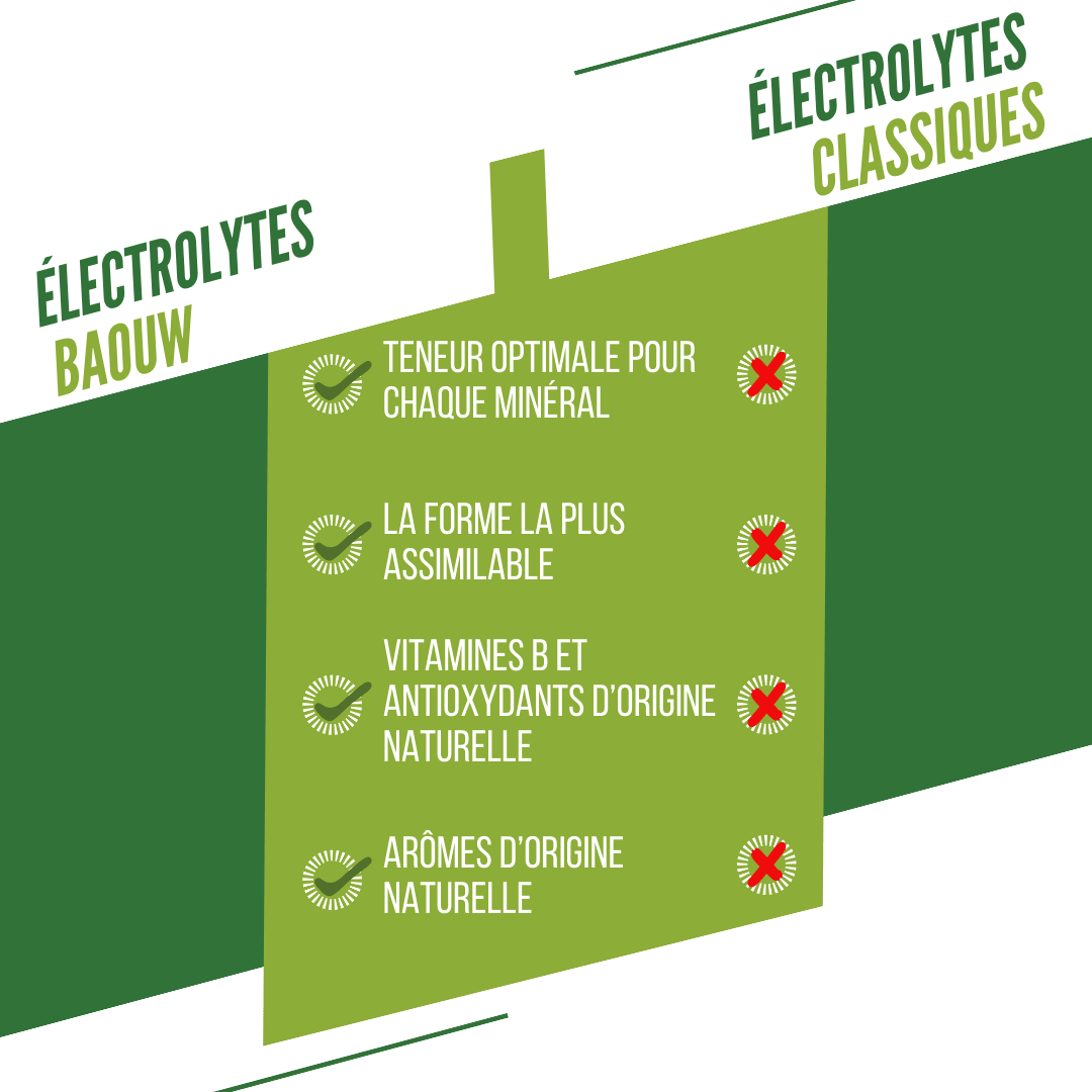 BAOUW Energy Drink (Tube of 10 tablets) Lime/Mint