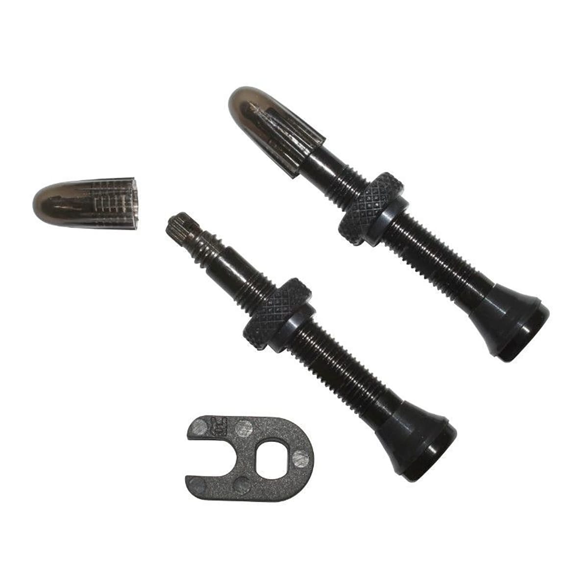 SCHWALBE Presta tubeless valves (x2)