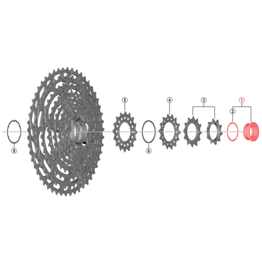 Ecrou et Entretoise de Serrage pour Cassette SHIMANO XTR CS-M9100-12 #Y1X498010
