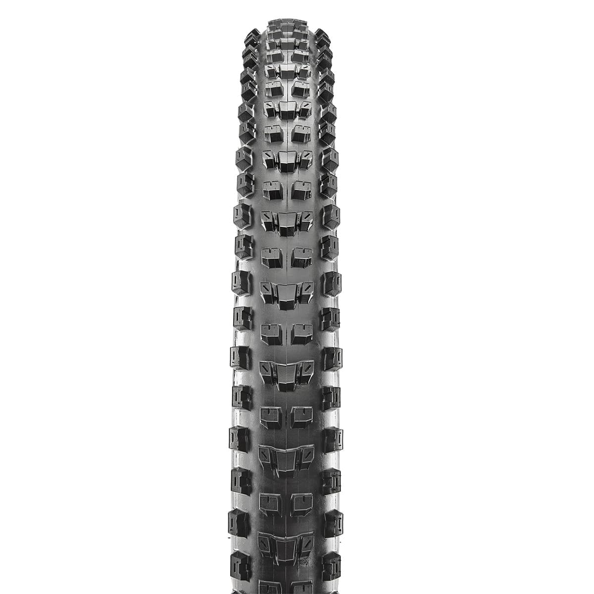 Pneu MAXXIS DISSECTOR 27,5x2,40 WT Exo 3C Terra Tubeless Ready Souple Noir