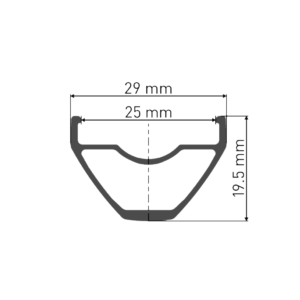 DT SWISS X 1900 SPLINE 25 mm 29" 15x100 mm Front Wheel