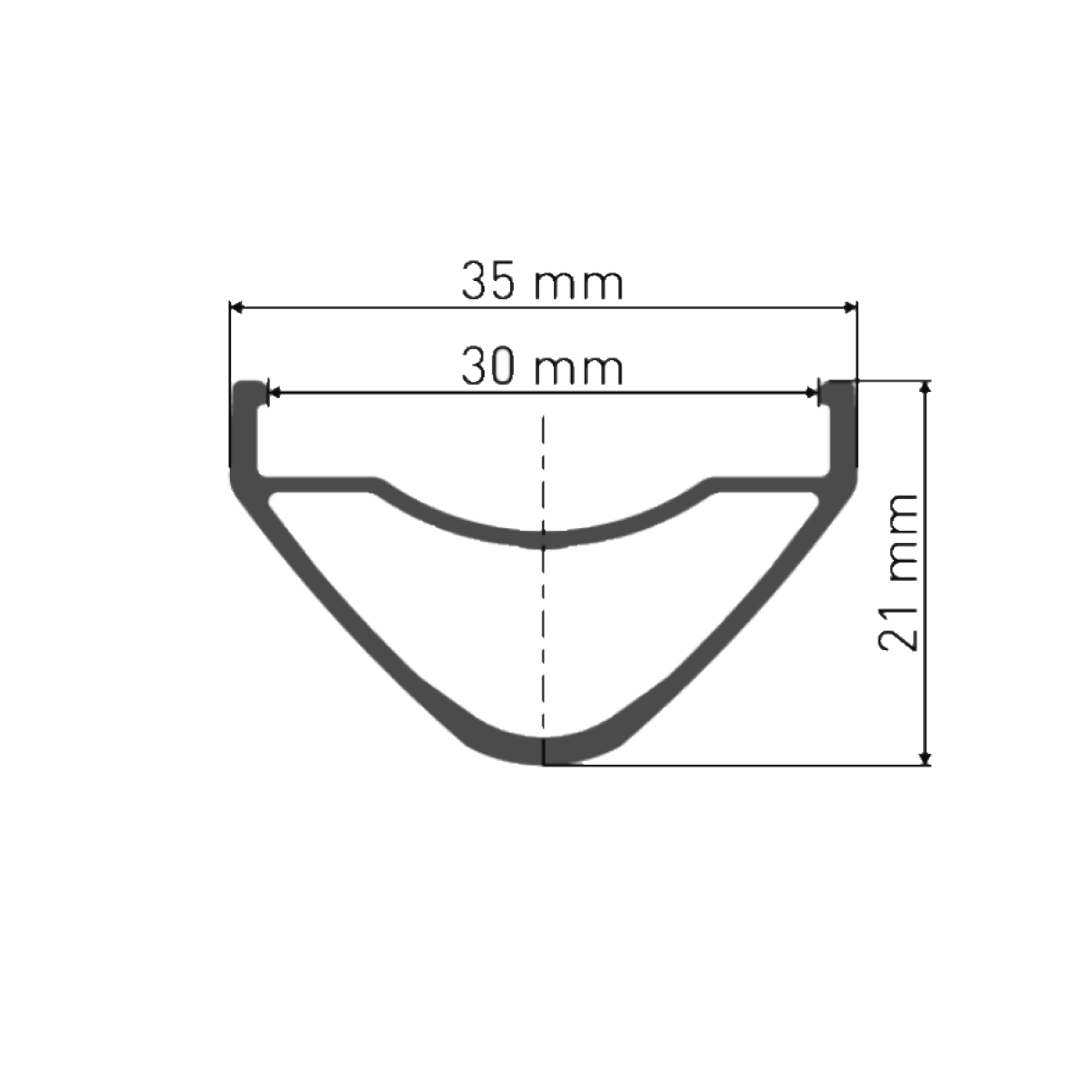 DT SWISS XM 1700 SPLINE 30 mm 29'' 15x110 mm Boost front wheel