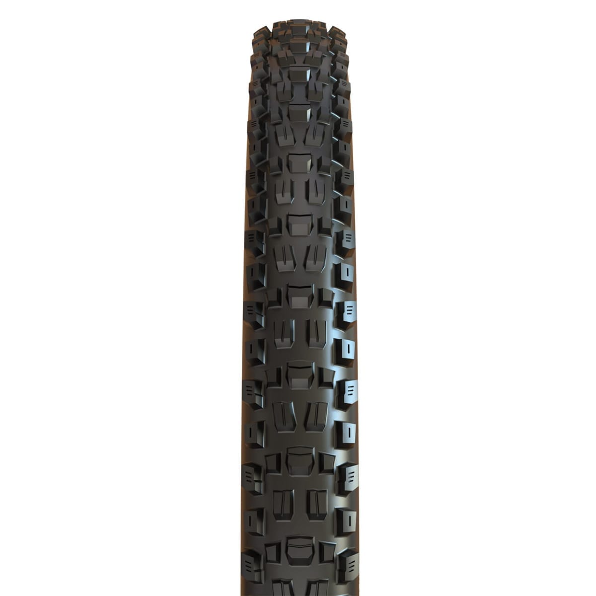 MAXXIS ASSEGAI 29x2.50 WT BikePark DH Tubeless Ready Rigid Tire Black