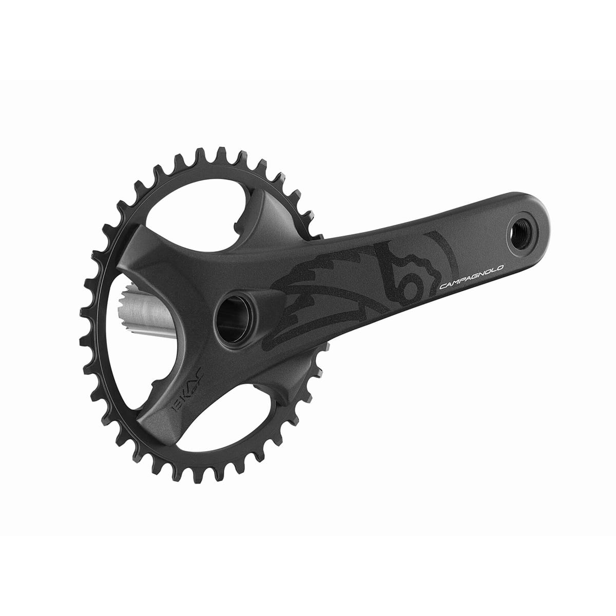 Crankset 13 Speed CAMPAGNOLO EKAR GT