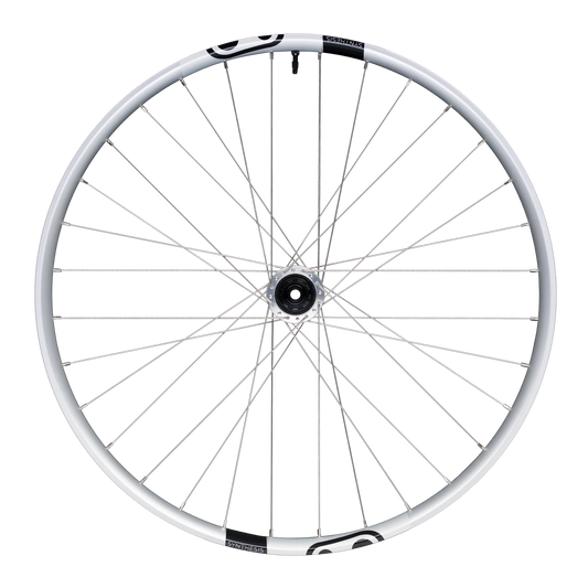 Rear wheel CRANKBROTHERS SYNTHESIS Aluminium 2.0 E-BIKE I9 29" 12x148 mm Boost Silver