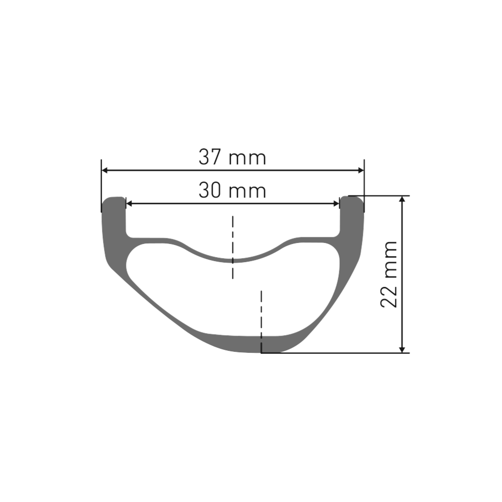 DT SWISS EXC 1200 CLASSIC 30 mm 29" 15x110 mm Boost front wheel