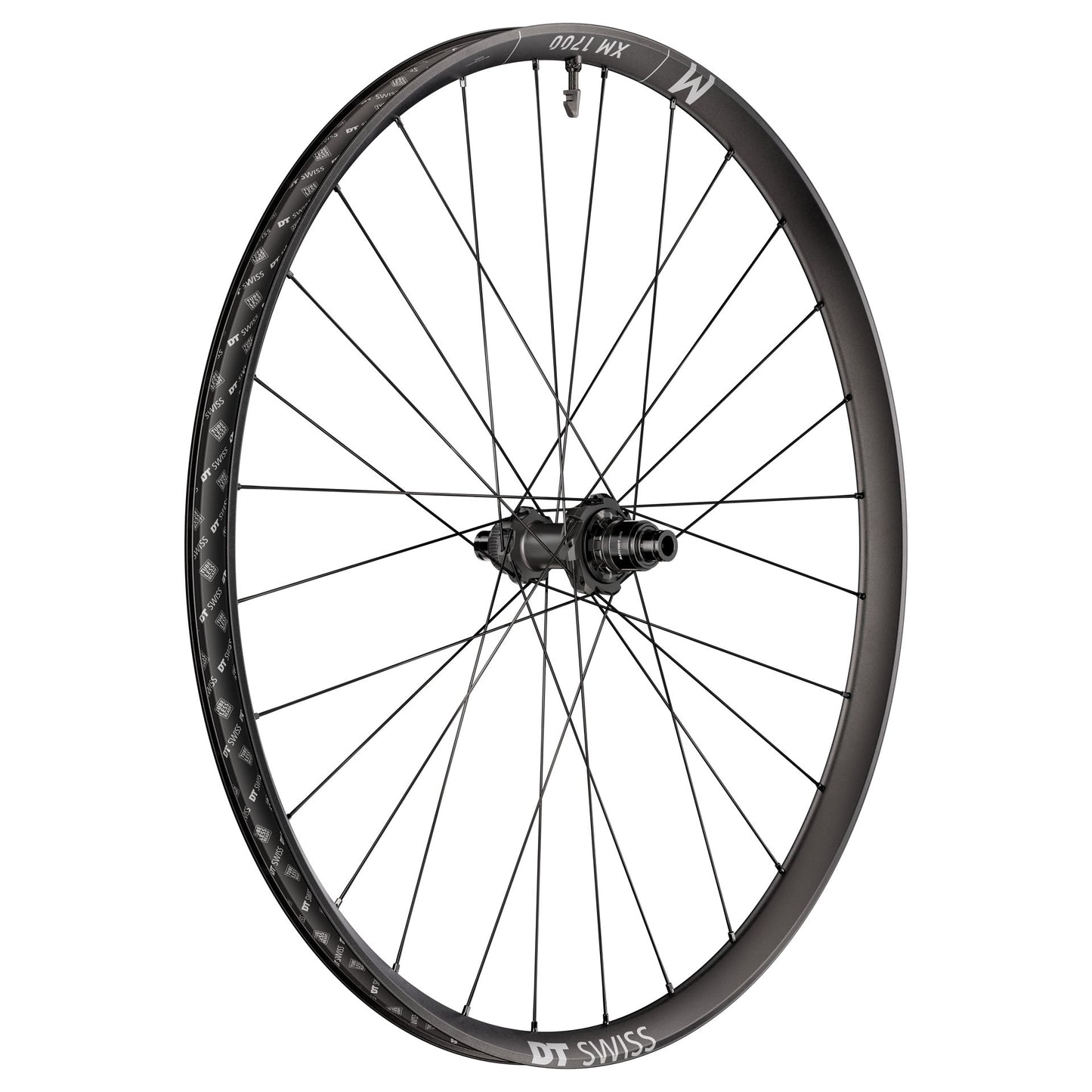 DT SWISS XM 1700 SPLINE 30 mm 29" 12x148 mm Boost 2026 rear wheel