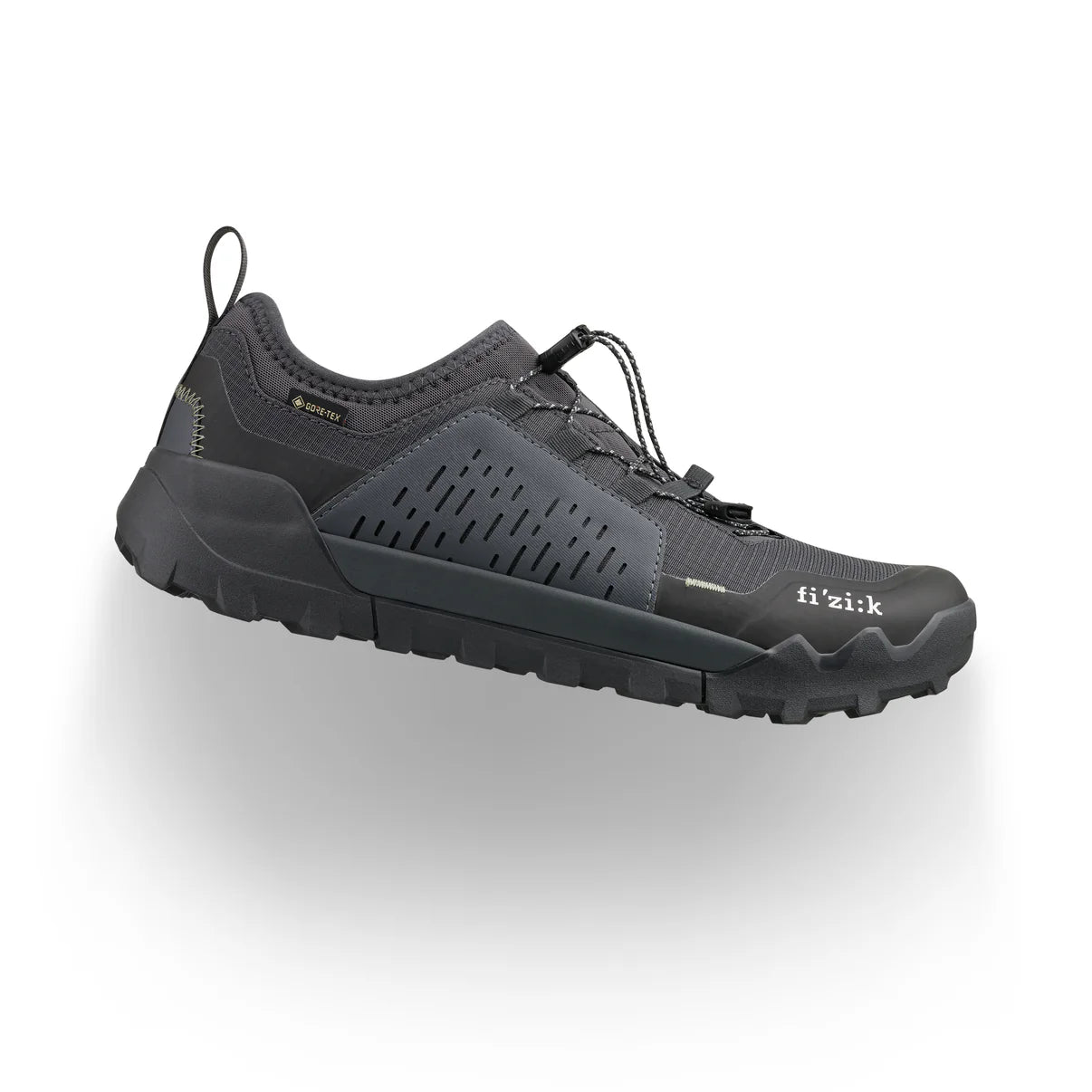 FIZIK ERGOLACE 2 GTX FLAT Mountain Bike Shoe, Black
