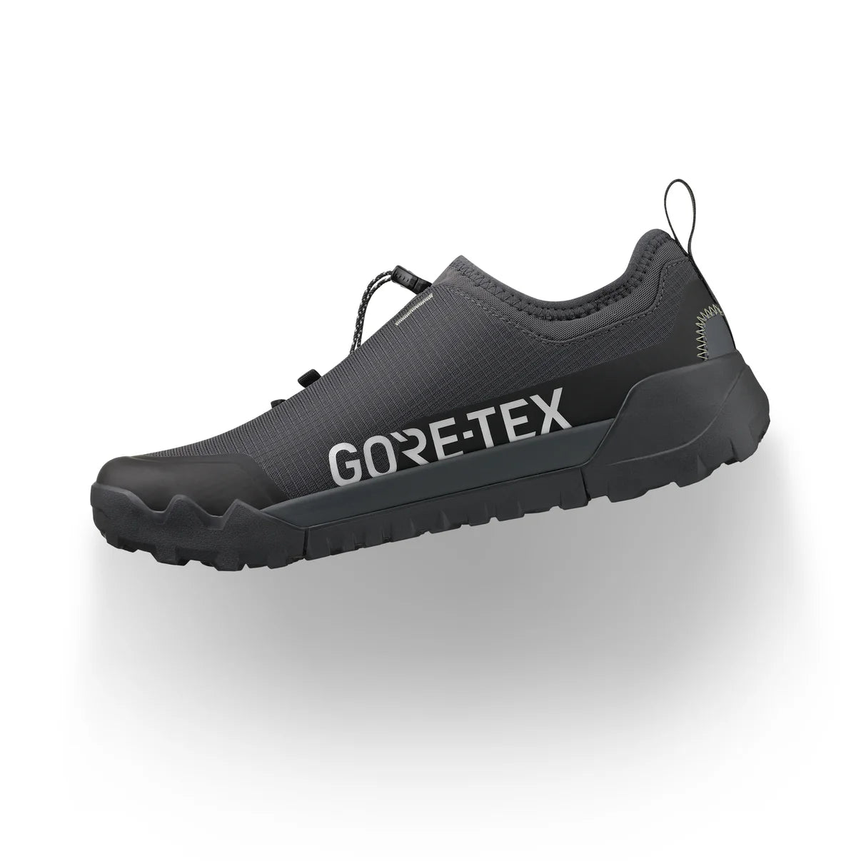 FIZIK ERGOLACE 2 GTX FLAT Mountain Bike Shoe, Black