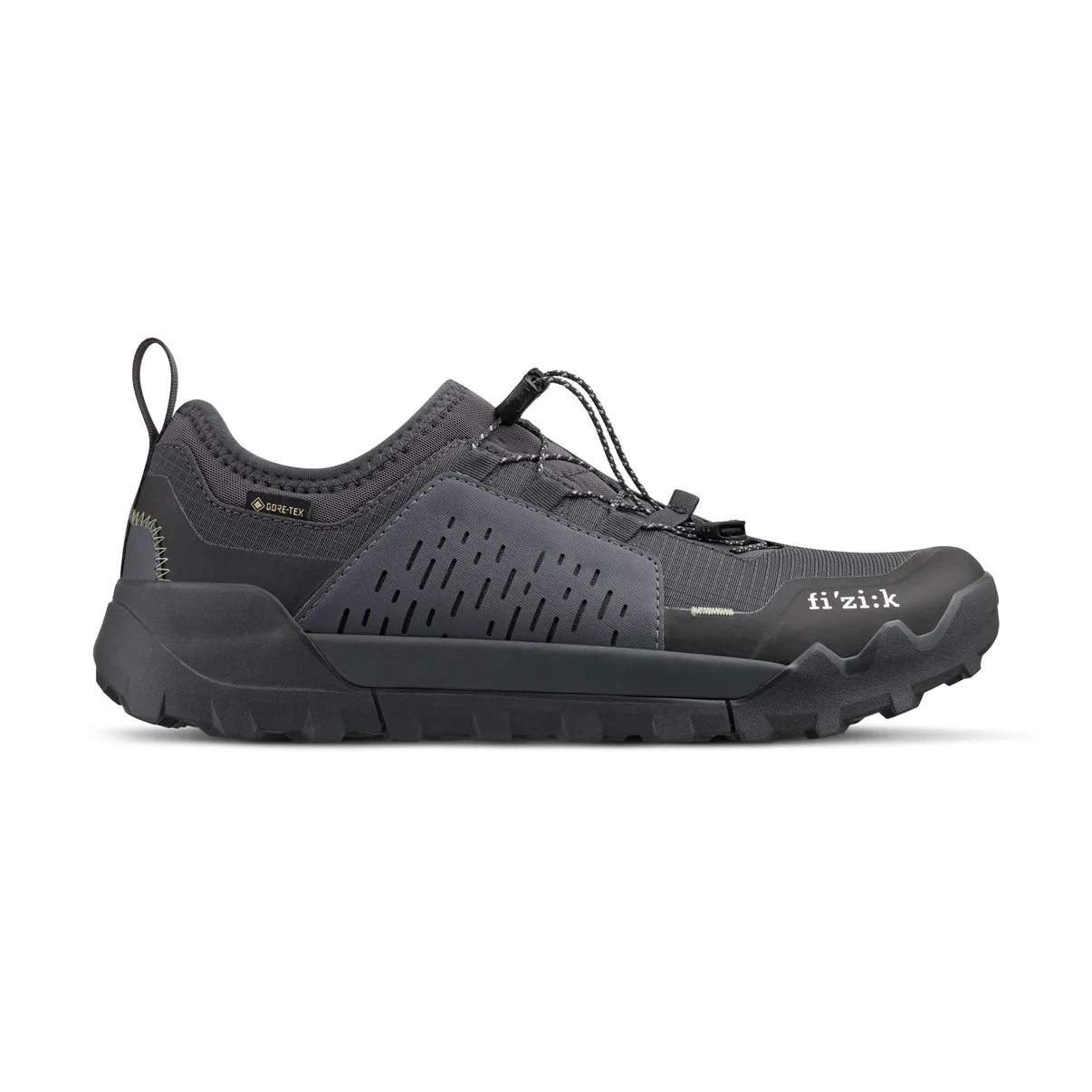 FIZIK ERGOLACE 2 GTX FLAT Mountain Bike Shoe, Black
