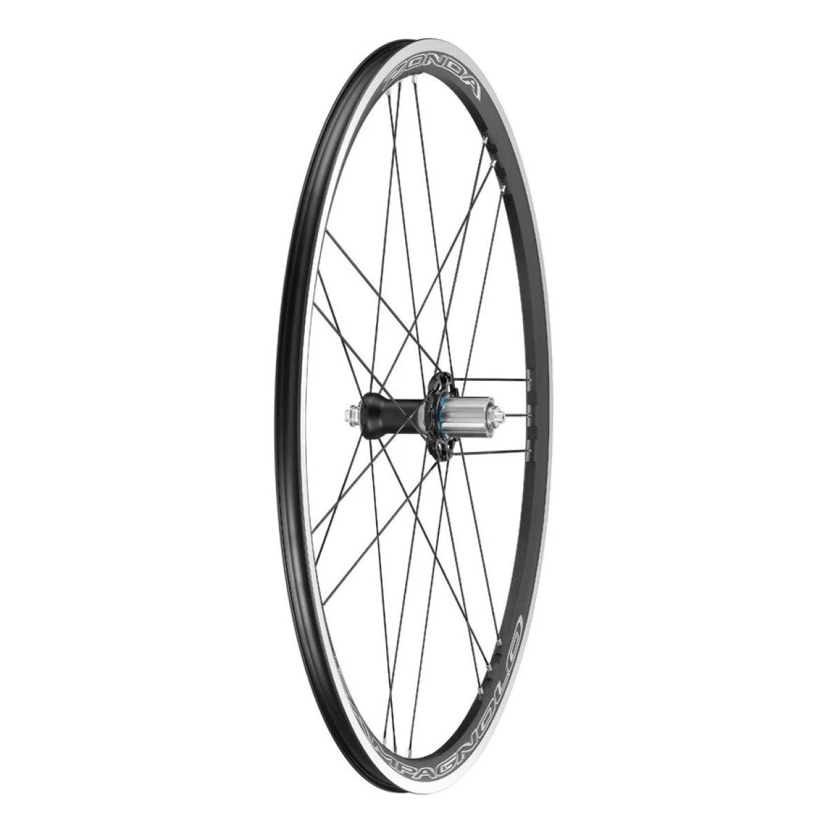 CAMPAGNOL ZONDA rear wheel clincher