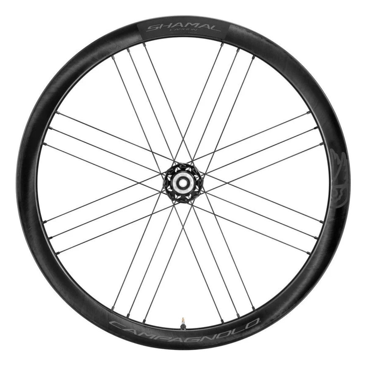 CAMPAGNOLO SHAMAL DISC rear wheel with tires (Center Lock)