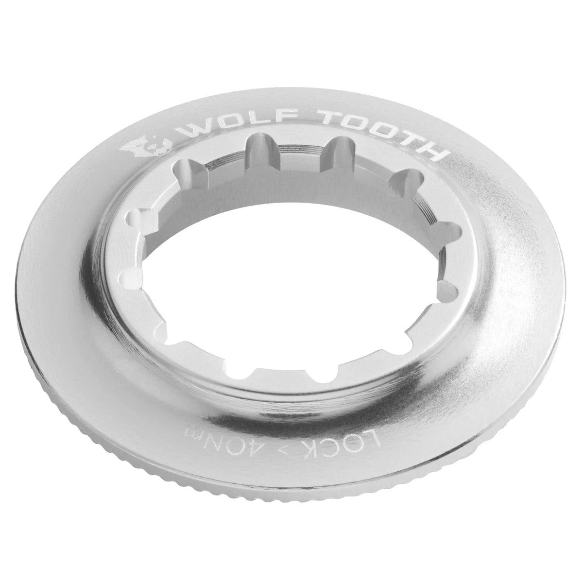 WOLF TOOTH Silver Internal Centerlock Nut