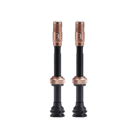 Set of 2 BBB CORE CAP Valves with Bronze End Caps