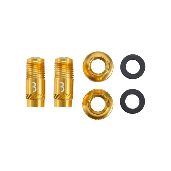 Set of 2 BBB CORE CAP Valve Tips with Gold Nuts