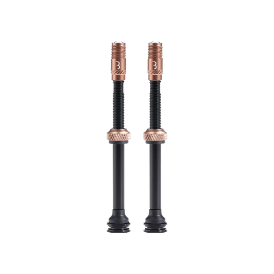 Set of 2 BBB CORE CAP Valves with Bronze End Caps